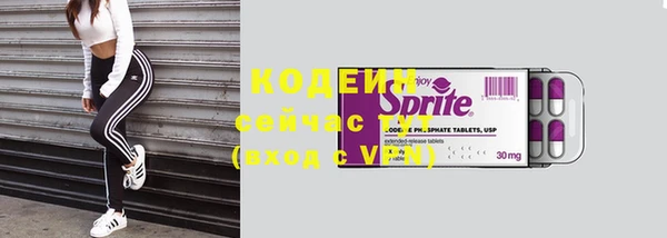 apvp Козельск